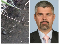 Как в Новороссийске постоянно справлять нужду на улице и не отвечать за это