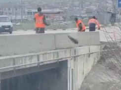 Одни спасают, другие - гадят: дорожники закидали грязью реку Цемес