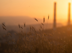 Погода в Новороссийске: солнышко выжигает