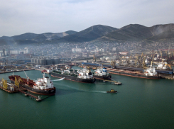 Более 20 млн порт Новороссийска выплатил за ущерб Черному морю 