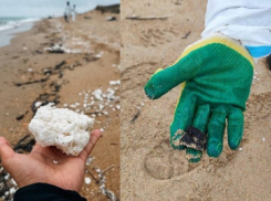Откуда на побережье Черного моря взялось пальмовое масло - предположения экспертов 