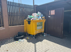 Новороссийцы не готовы к раздельному сбору мусора? В контейнер для пластика жители бросают всё, что хотят