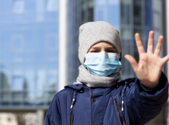 Скоро новая пандемия? Инфекционист рассказала, стоит ли новороссийцам бояться вируса Нипах