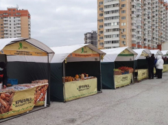 В Новороссийске открылась новая ярмарка