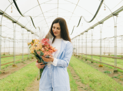 Цветочная ферма под Новороссийском: цветы из теплицы сразу в магазин 