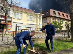 Пожар высадке деревьев не помеха: южане в шоке от того, что творится в Туапсе