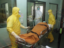 Новые случаи заражения коронавирусом в Новороссийске: актуальная сводка