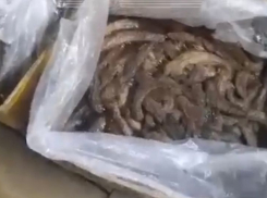  Бананы, похожие на кал: из этого делают выпечку для новороссийцев?