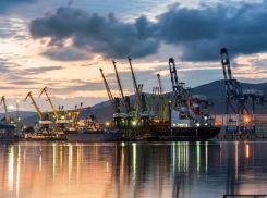 В порту Новороссийска не пропустили 15 тонн морепродуктов из Туниса 