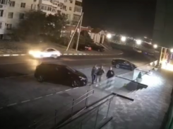 В Новороссийске молодые вандалы вырвали растение из клумбы и пнули чужую машину 