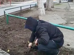 Бдительная жительница Новороссийска помогла поймать закладчика