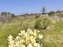 Львицы будут блистать, а Козерогам важно обратить внимание на здоровье
