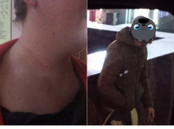 В отношении дебошира, душившего фельдшера в Новороссийске, возбудили уголовное дело