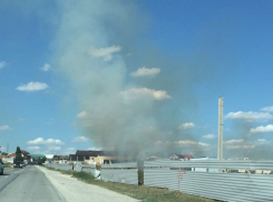 Вновь полыхает трава на Пятой бригаде Новороссийска