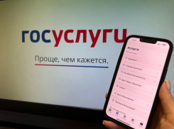 Новороссийцам могут заблокировать Госуслуги на три дня
