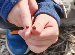 Звезды улыбнулись Близнецам, а Львам подарили важное знакомство