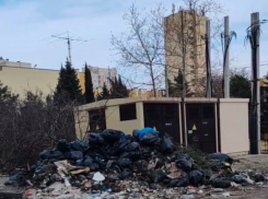 В Новороссийске Пионерская роща утопает в мусоре