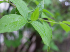 В воскресенье ожидается небольшое потепление