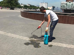 Новороссийцев испугали сотрудники администрации