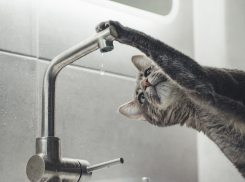 Цемдолина и Приморский район Новороссийска остались без воды 