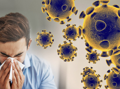 Новороссийск выбился в лидеры по заражению коронавирусом в Краснодарском крае