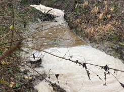 Ядовитые реки с Щелбы вновь потекли отравлять жизнь новороссийцам — делом заинтересовался Бастрыкин
