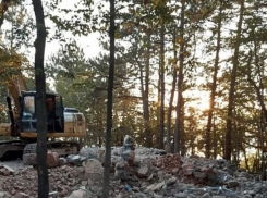 Капитальное строительство в лесном фонде: на Кубани снесли более 70 незаконных объектов 