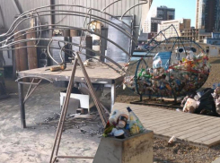 Металлический дельфин на пляже Новороссийска позаботится об экологии и своих собратьях