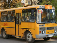 Добирайтесь как хотите: мамы новороссийцев требуют запустить школьные автобусы