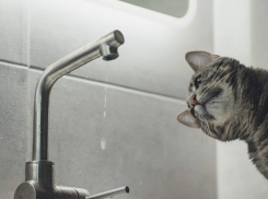 Без воды, тепла и света начался день у некоторых новороссийцев