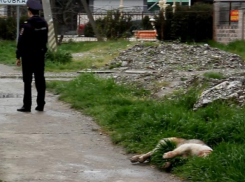 Трагедия с ребенком вызвала жаркие споры у новороссийцев