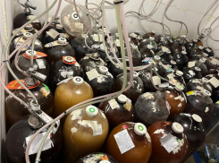 Новороссийские полицейские изъяли полтонны незаконного алкоголя