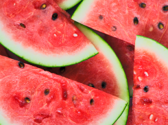 Как новороссийцам не купить арбуз с тяжёлыми металлами и определить спелость по звуку