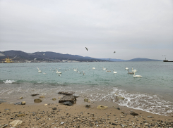 Гороскоп от «Блокнота»: у Львов романтические приключения, а у Дев сегодня всё будет получаться