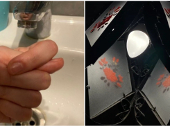 Отключения воды и света: среда в Новороссийске началась «весело» 