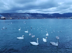 Пятница принесёт новороссийцам  небольшое потепление