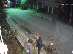 Серийные воры роз появились в Новороссийске: женщины не стесняются даже камер 