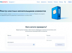 На Госуслугах появился реестр злостных неплательщиков алиментов 