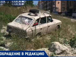 Его бросили на улицу в Новороссийске и насовали внутрь гадостей
