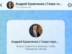 Ну всё! До приложения МАХ «добрался» глава Новороссийска