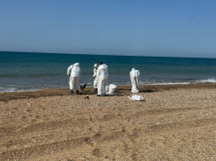 Мазут в Чёрном море нагрелся, а Анапа в красной зоне: помочь могут маты  