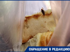 Беременная женщина и 3-летний ребёнок в Новороссийске, чуть не проглотили это 