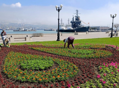 Посадят точно: к озеленению Новороссийска глава требует привлечь родителей школьников