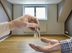 Поддельные документы и чужое жилье: мошенники пойдут под суд в Новороссийске 