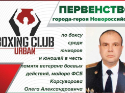 Зрелищные поединки ожидаются на ринге новороссийского «Урбана»
