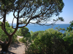 Новороссийск передал почти 700 га земли Кубанскому заповеднику «Утриш» 