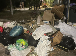 «Развели ср*ч!»: между домами новороссийцев растет помойка 