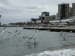 Погода в Новороссийске: день понравится любителям дождя 