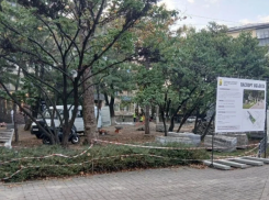 Порядок наводим: чиновники отчитались, где в Новороссийске стало хорошо