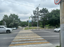 Кондуктор выгнала студентку из троллейбуса в Новороссийске